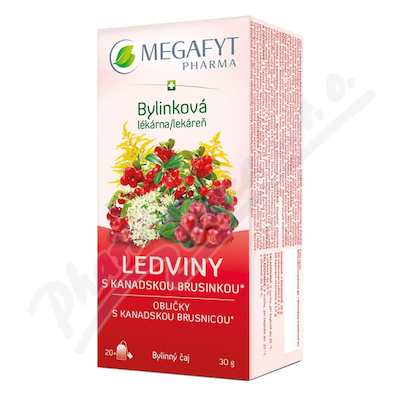 Megafyt Bylink.lékárna Ledviny s kan.brus.20x1.5g