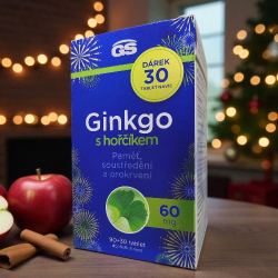 GS Ginkgo 2023 60 mg s hořčíkem 90+30 tablet