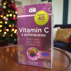 GS Vitamin C 500 mg s echinaceou 110 tablet